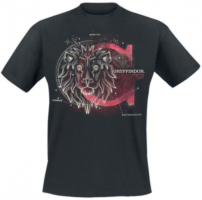 Photo of Rock Ts Harry Potter - Gryffindor Space