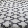 Light Fluffy Shaggy Rug/Carpets Photo