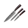 Damascus 5CR15 - 3 Piece Kitchen Utility Knife Set Photo