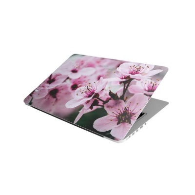 Photo of Laptop Skin/Sticker - Pink Petaled Flowers