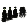 18 20 22 Free Closure Zambezi Synthetic Curly Package Color 2 Photo