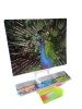 Umlozi Diamond Painting - Flaunting Peacock Photo
