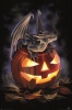 Anne Stokes - Trick or Treat Poster Photo