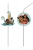 Disney Moana Moana Flexi Drinking Straws Photo