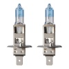 Flosser H1 Globe Kit 12 V 55 w P14 Photo