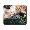 Mouse Pad - Cat and Dog Photo