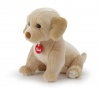 Trudi Blue Label Labrador Plush - 24cm Photo