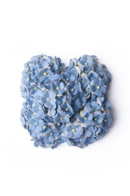 Photo of Bloom Sweetheart Blossoms - Light Blue