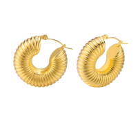 Womens Gold Stainless Steel Hoop Earrings