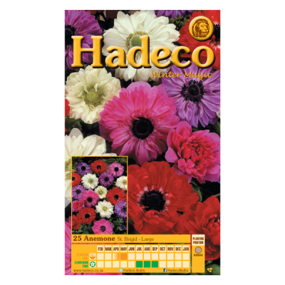 Photo of Hadeco Anemones - Double - Mixed Colours - 2x 20 bulbs