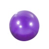 PowerCore Anti-Burst Exercise Ball 55cm Photo
