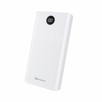 Rayswitch Power Bank Fast Charging 30000mAh Battery PD20WQC 30