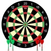 Magnetic Dart Board Game Large Photo