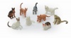 Assorted Cats in a Set - 9 pieces Photo