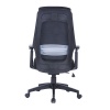 Basics Santiago Deluxe Office Chair Photo