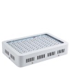 1000W Growlight with Veg and bloom Photo