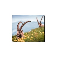 Mouse Pad Goats Horns