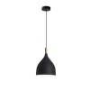 Dr Light Drlight Modern Small Bowl Style Pendant Light Single Photo
