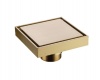 Trendy Taps Brass Drain Cover Photo