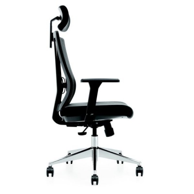 Photo of Sohum Ergonomic Managers High Back Chair