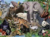 1000 Piece Jigsaw Puzzle/Educational Toy - Animal Kingdom Photo