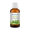 Focus - Improved Concentration & Focus for Distracted & ADHD Individuals Photo