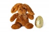 Soft Brown Flopsy Bunny Photo