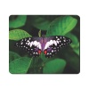 Mouse Pad - Black Butterfly On Green Leaf Photo