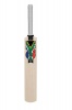 Gunn and Moore Mini Bat With South African Flag Photo
