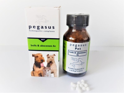 Pegasus Homeopathics Pegasus Boils Abscesses 6c 25g