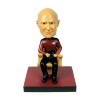 Star Trek The Next Generation - Jean-Luc Picard Build-a-Bridge Bobble Head Photo