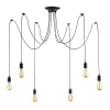 Eagle Lighting Spider Pendant Black - 6 Light Photo