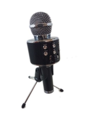 Photo of Everlotus Karaoke Microphone with Stand