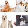 3" 1 Multifunctional Pet Grooming Massage Brush Photo