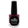 Nailz Island Vibe Nail Polish - 15ml Photo