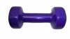 Fury sports Fury Vinyl Dumbbell 2kg Photo