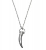 Stainless Steel Shark's Tooth With Round Link Chain Photo