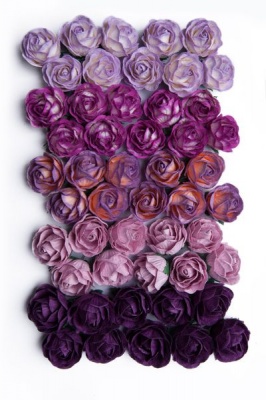 Photo of Bloom Peony - Purple