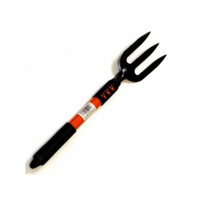 Photo of Fork