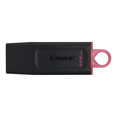 Kingston DataTraveler Exodia 256GB USB Flash Drive