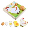 Chicken Growth Hen Animal Multilayer Jigsaw Puzzle Photo