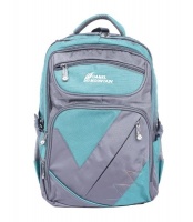 Camel Mountain Backpack Gray Green