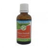 Feelgood Health - Focus Formula Photo