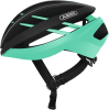 Abus celeste green Medium Photo