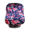 Baby Car Seat and Nursing Cover Photo