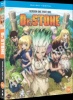 Dr. Stone: Season 1 Part 1 Photo