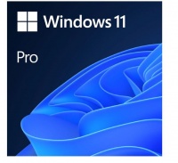 Microsoft Windows 11 Professional DVD Single User License