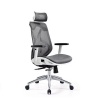 walkingpad WP Ergonomic Adjustable Office Chair with Lumbar Support Photo