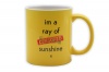 Clink - Ray of Sunshine Photo