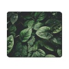 Mouse Pad - Watery Green Leaves Photo